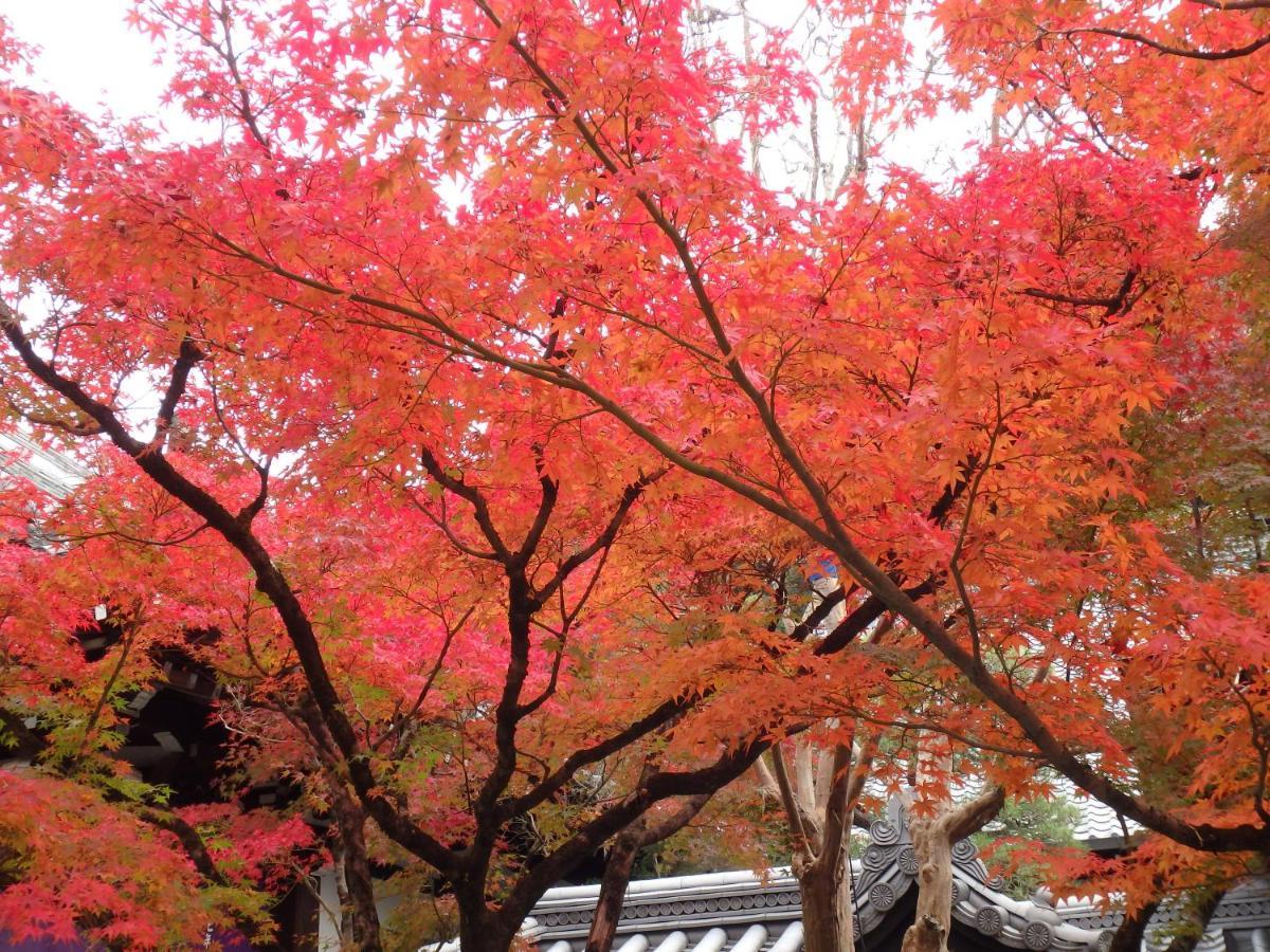 Kyo No Yado Nishioji Hotel Kyoto Buitenkant foto