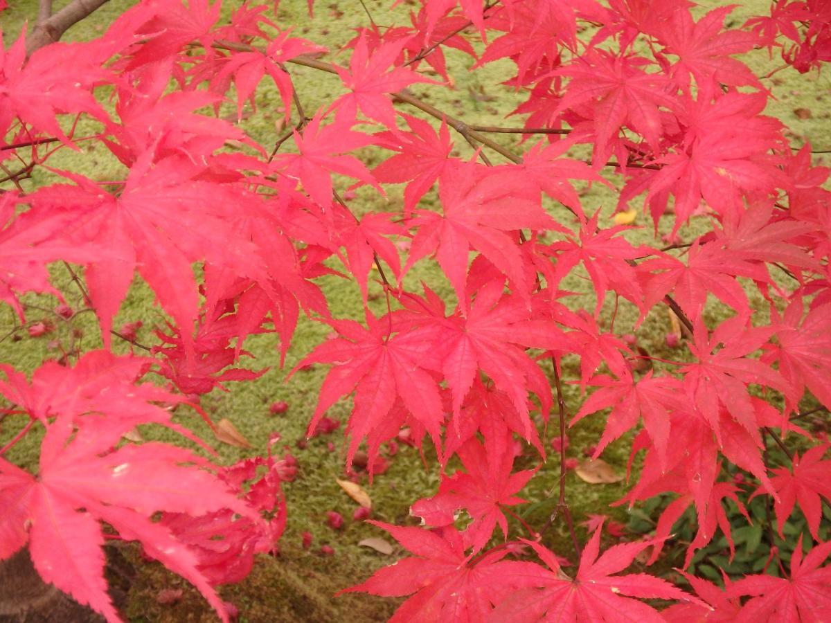 Kyo No Yado Nishioji Hotel Kyoto Buitenkant foto